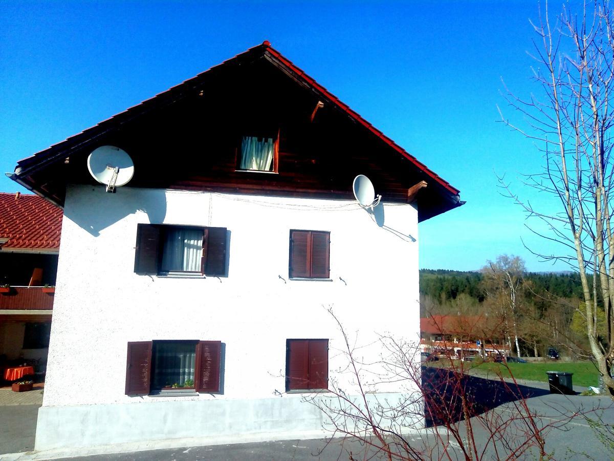 Pension Waldblick Spiegelau Bagian luar foto