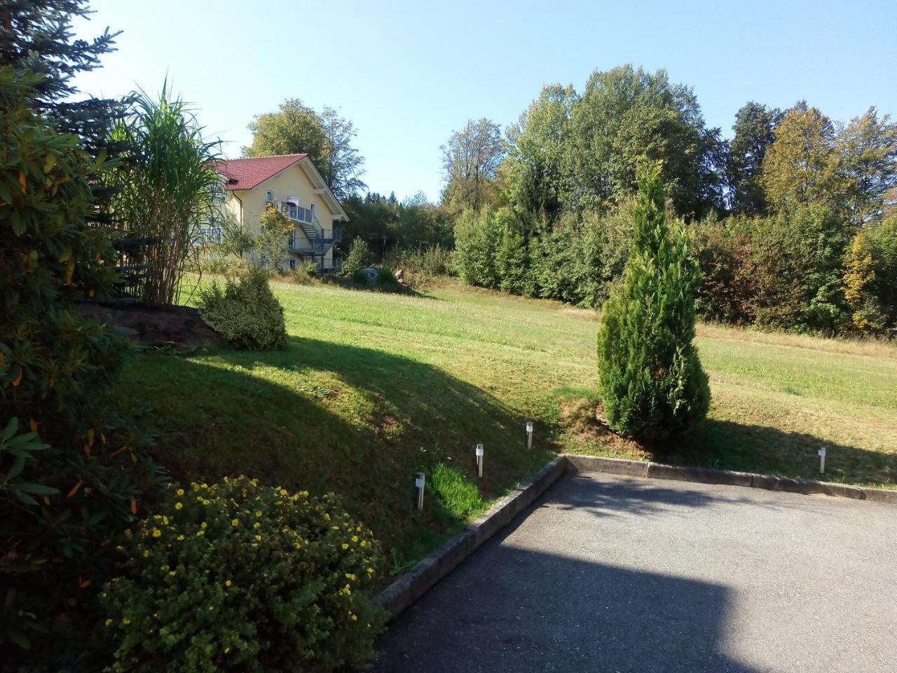 Pension Waldblick Spiegelau Bagian luar foto